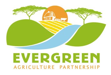 Large-Scale Smallholder Farm Carbon Abatement Program by Conservation International